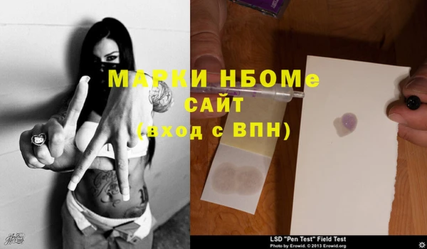 индика Волосово