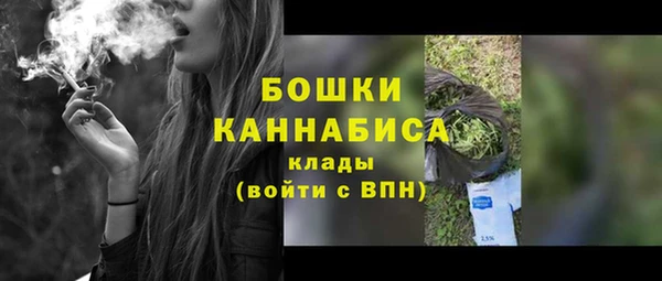 индика Волосово