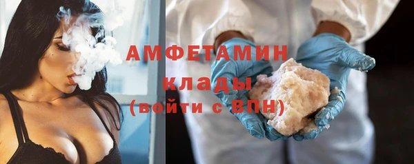 индика Волосово