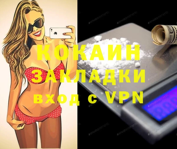 индика Волосово