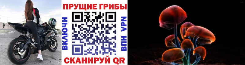 Псилоцибиновые грибы ЛСД  Купить закладки  Арсеньев 